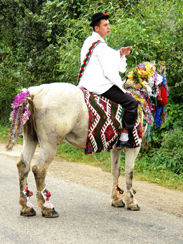 Foto Gateala de nunta (c) Petru Goja